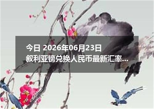 今日 2026年06月23日 叙利亚镑兑换人民币最新汇率行情