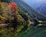 南雄后天天气
