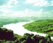 廉江后天天气